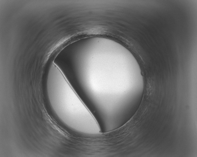X0000078280535200611031019