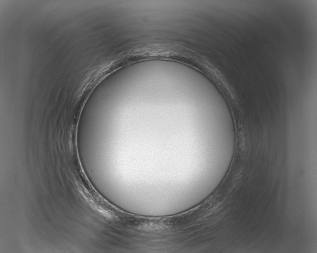 X0000078280537200611031019