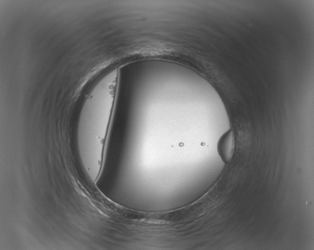 X0000078280539200611031019
