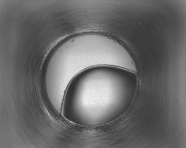X0000078280540200611031019