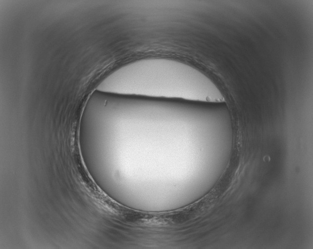 X0000078280545200611031019