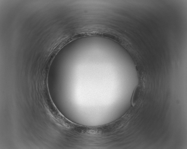 X0000078280546200611031019