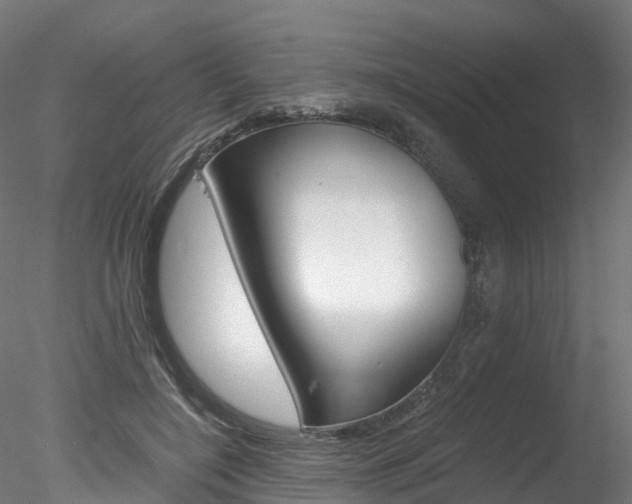X0000078280548200611031019