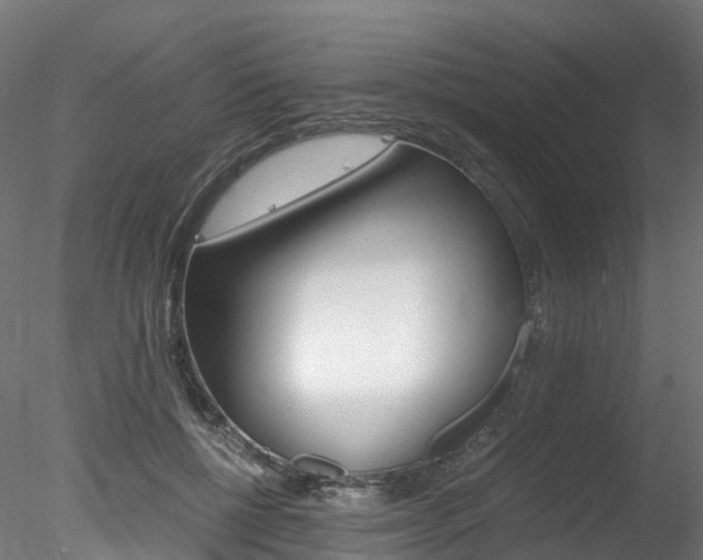 X0000078280552200611031019