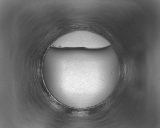 X0000078280553200611031019