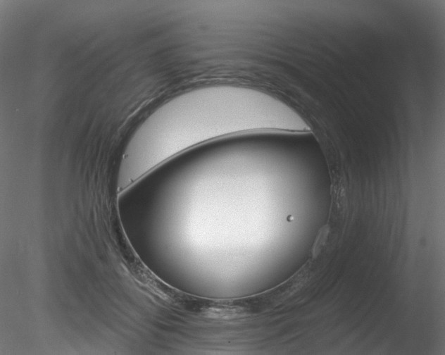 X0000078280556200611031019