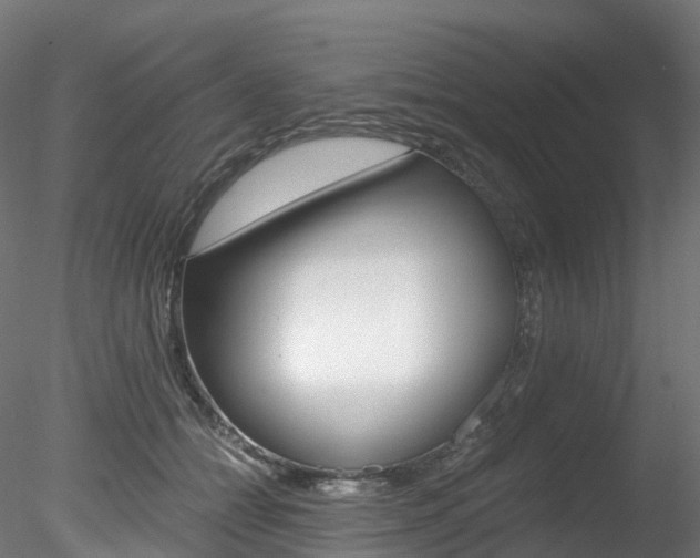 X0000078280558200611031019
