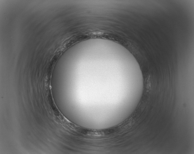 X0000078280559200611031019