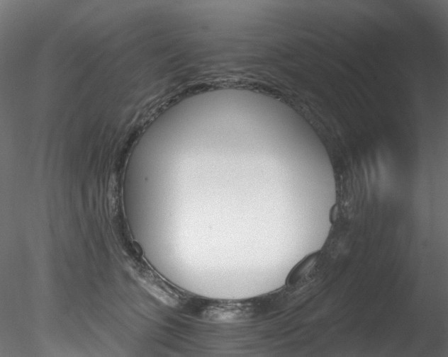 X0000078280563200611031019