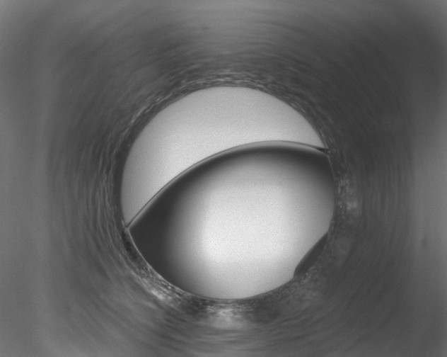 X0000078280564200611031019
