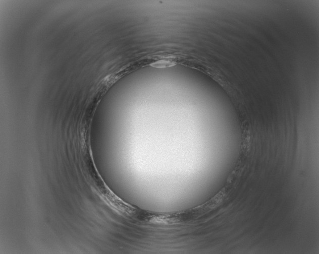 X0000078280568200611031019