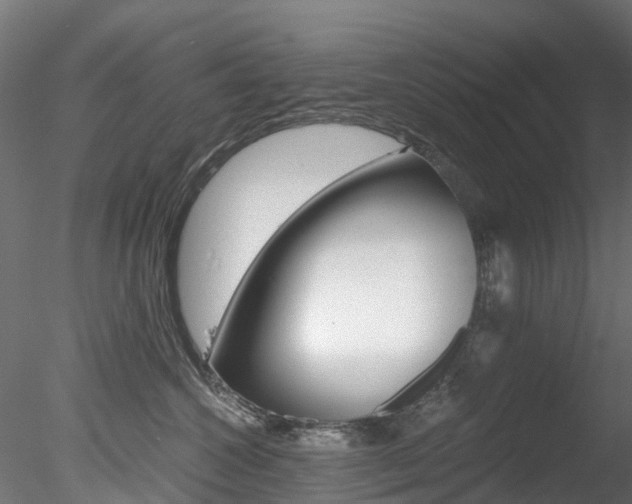 X0000078280572200611031019