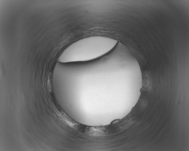 X0000078280573200611031019