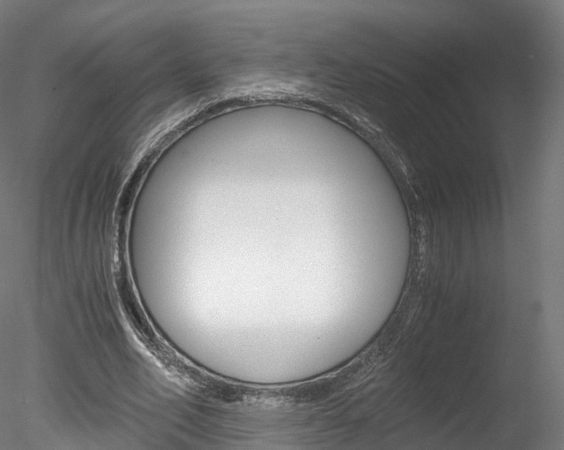 X0000078280582200611031019