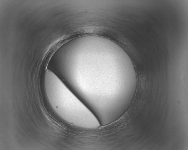 X0000078280587200611031019