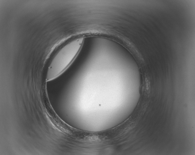 X0000078280588200611031019
