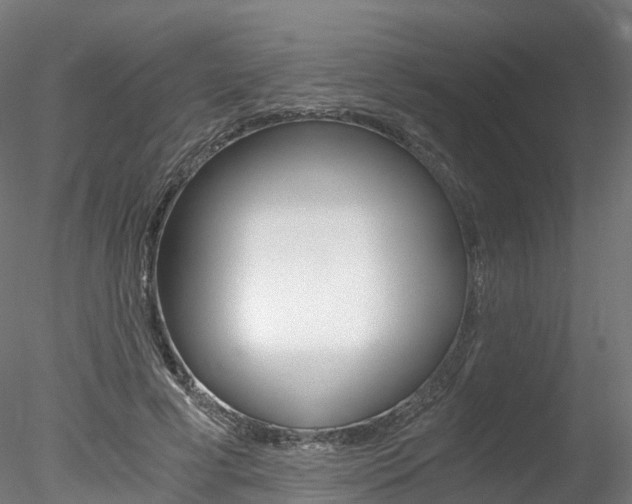 X0000078280593200611031018