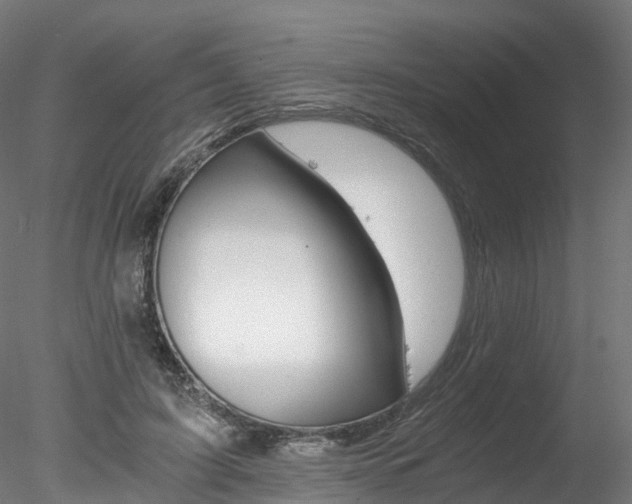X0000078280595200611031018