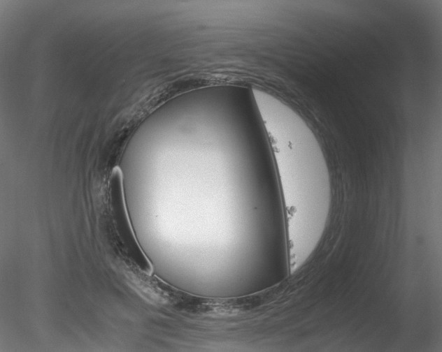 X0000078280601200611031018
