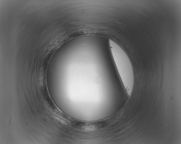 X0000078280604200611031018