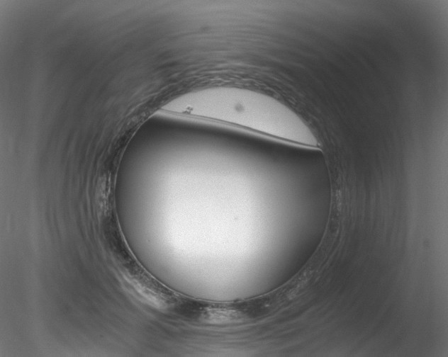 X0000078280605200611031018