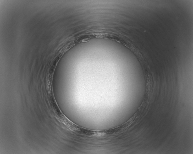 X0000078280609200611031018