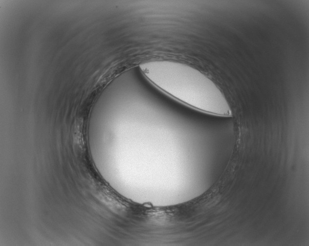 X0000078280616200611031018