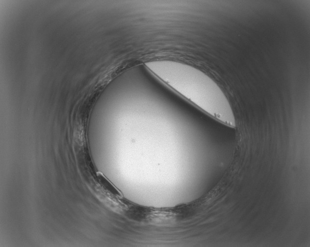 X0000078280617200611031018
