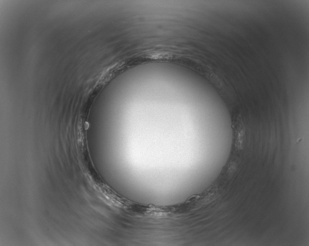 X0000078280620200611031018