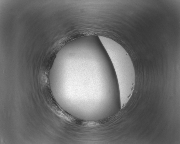 X0000078280621200611031018