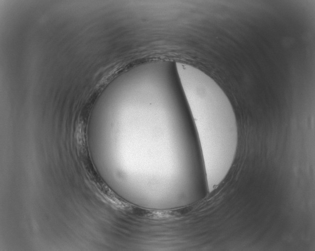 X0000078280623200611031018