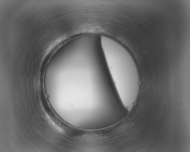 X0000078280630200611031017