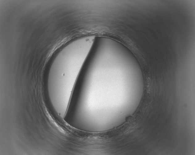 X0000078280634200611031017