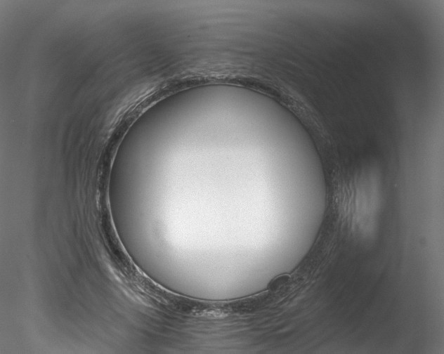 X0000078280635200611031017