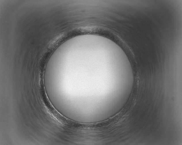 X0000078280637200611031017