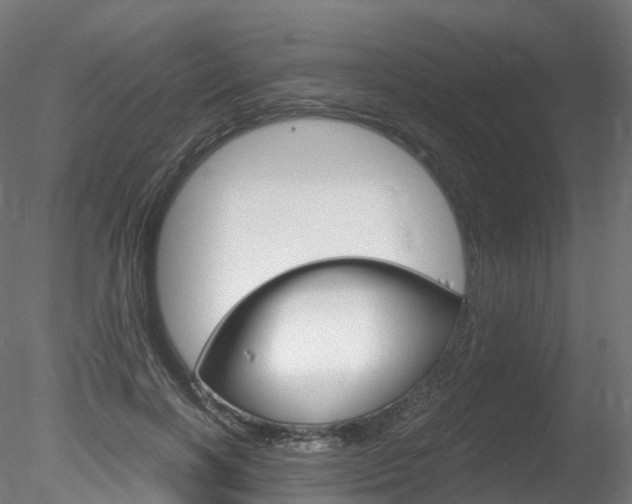 X0000078280646200611031017