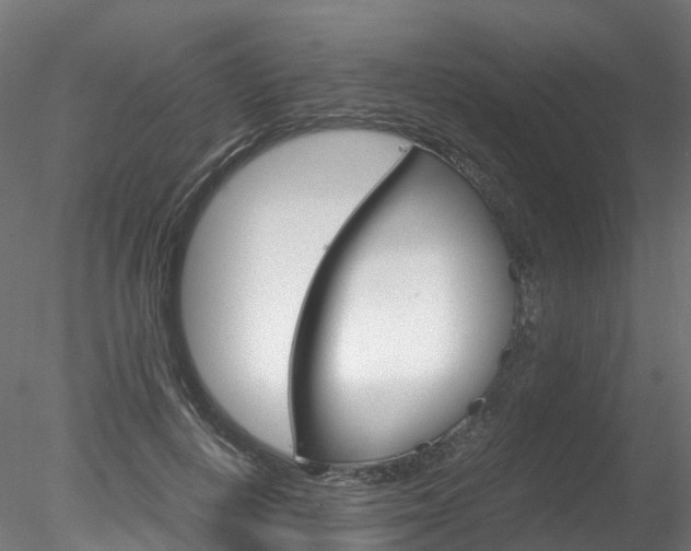 X0000078280648200611031017