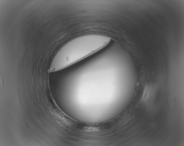 X0000078280649200611031018