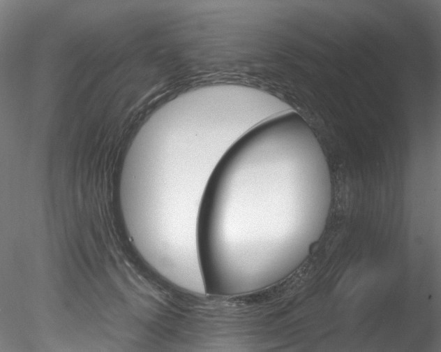 X0000078280656200611031018