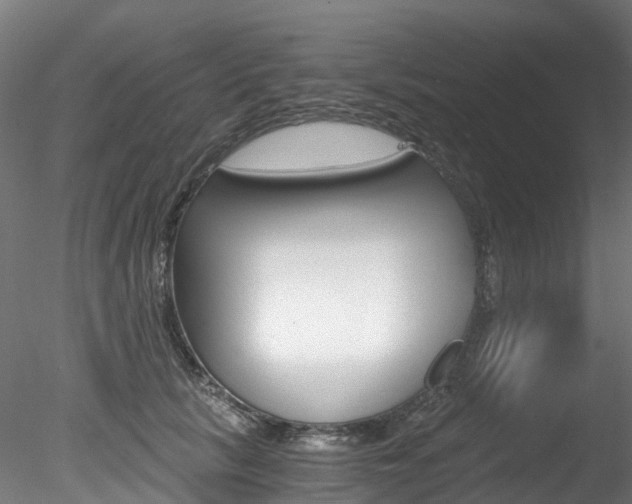 X0000078280657200611031018