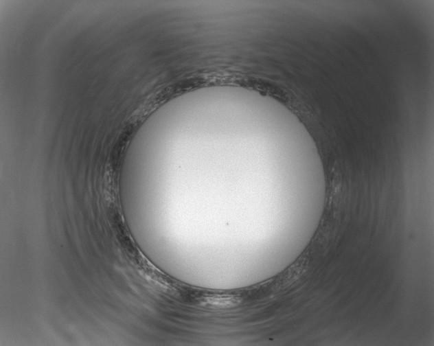 X0000078280659200611031018