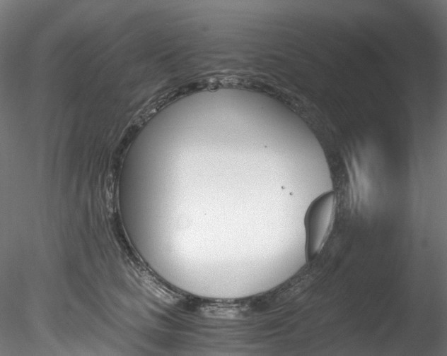 X0000078280661200611031018