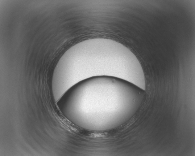 X0000078280662200611031018
