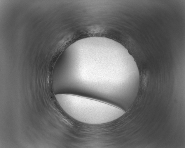 X0000078280668200611031018