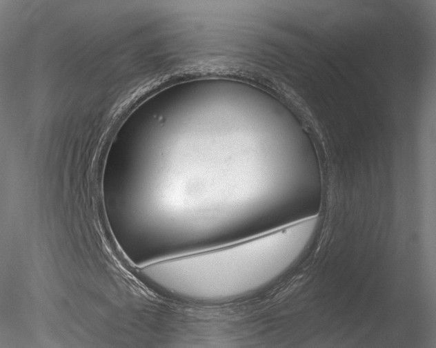 X0000078280673200611031017