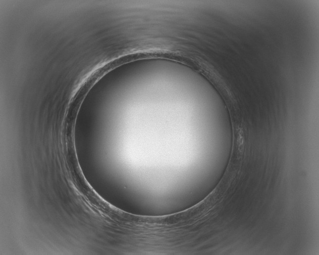 X0000078280676200611031017