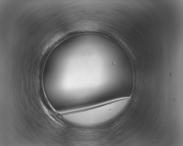 X0000078280677200611031017