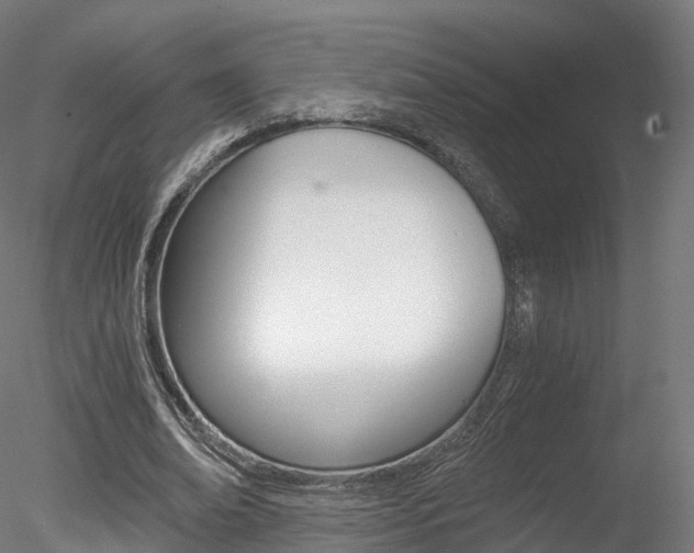 X0000078280678200611031017