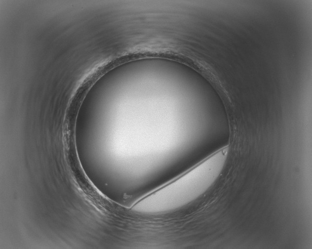 X0000078280680200611031017