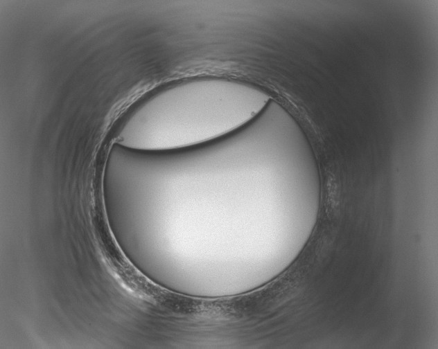 X0000078280682200611031017